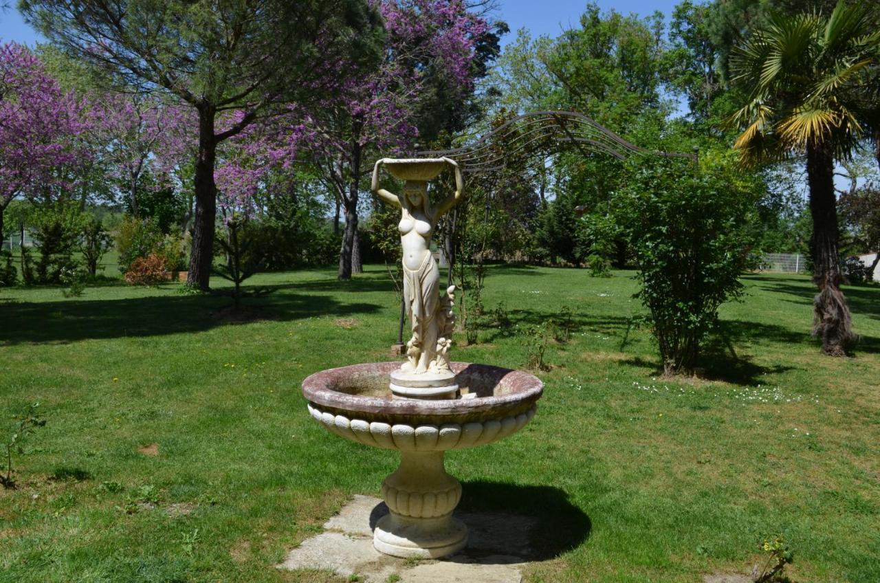 Bed and Breakfast La Louisiane 31 Villefranche-de-Lauragais Exterior foto